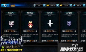 2026美国际黑夜传说隐藏机制曝光，PVP霸主养成绝密攻略