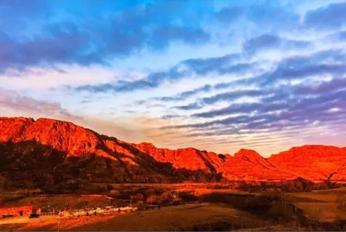 韩媒9分红色沙漠，微苦入口，越玩越觉耐品