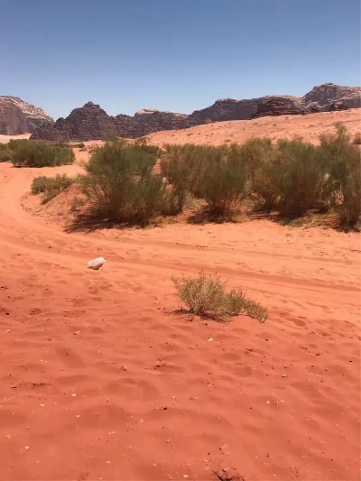 红色沙漠开发商股价暴跌近30% 评价差或致重新创作