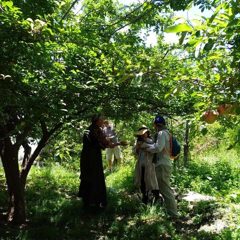 3月27日口袋西游重启，新服菩提预约通道现已火热开启！