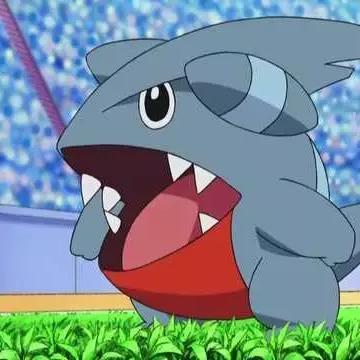 圆陆鲨培养全攻略,从新手到大师的7个核心技巧 圆陆鲨培养全攻略,从新手到大师的7个核心技巧