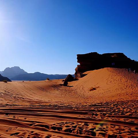红色沙漠新手必知！开局最先要做的几件事别错过
