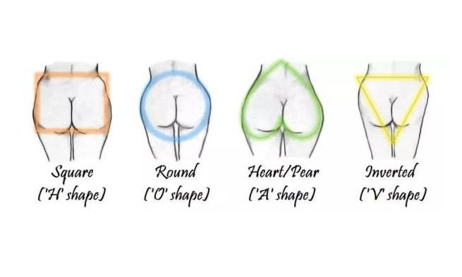 2026年最新美臀标准揭秘,5种黄金臀型+科学塑形方案权威数据 2026年最新美臀标准揭秘,5种黄金臀型+科学塑形方案权威数据