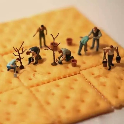 粒粒的小人国测试将至，预约量已狂飙800万，你还不加入？