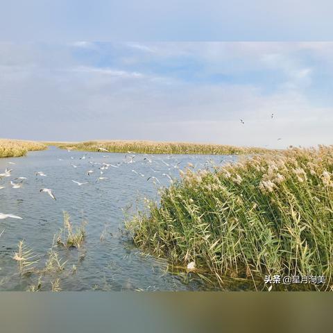 红色沙漠操作逻辑难理解？就像学自行车一样慢慢上手！