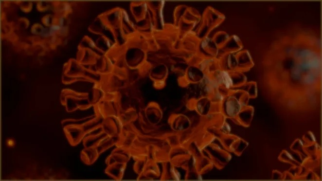 为什么总被魔疫团灭？2026版本7大感染机制与净化策略全解