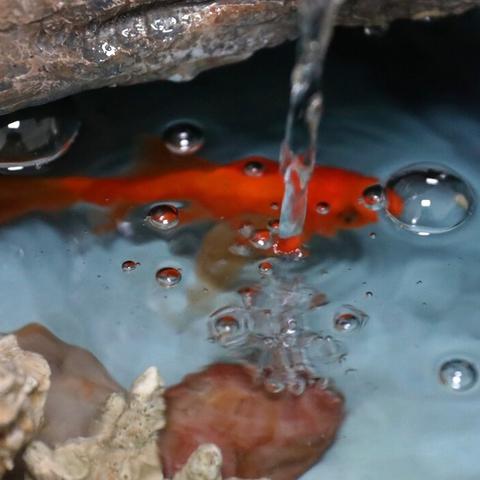 2026年奇迹页游打金真相，Q1实测数据揭示3个暴利版本与避坑红线