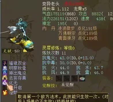 2026西游龙族终极指南，5大隐藏类型与顶级配装方案揭秘