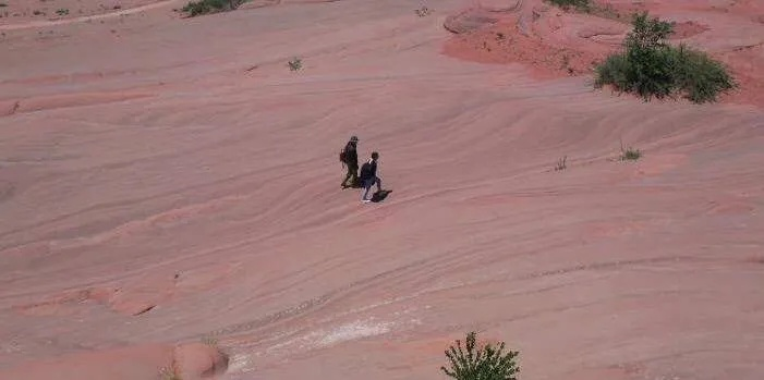 红色沙漠开发混乱内幕，高层一言堂或致项目失败