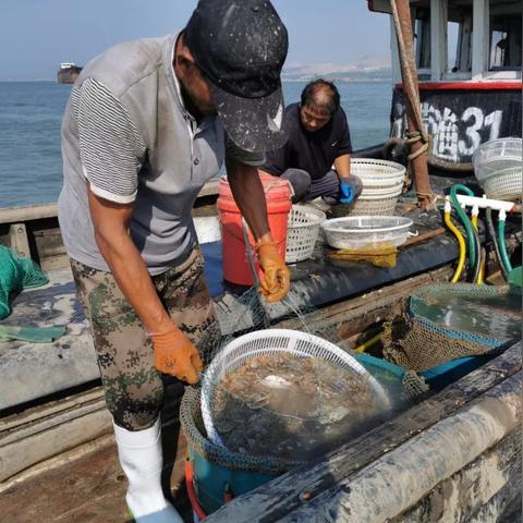 手游出海基因的地下市集