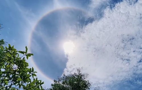 医生建议中午用晒太阳代替午休 不仅补钙还能助眠 医生建议中午用晒太阳代替午休 不仅补钙还能助眠