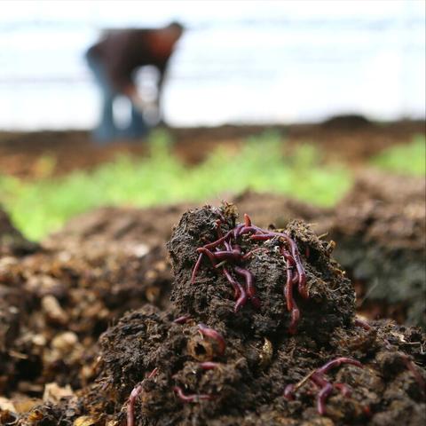 《红色沙漠》又遭批评  隐瞒使用AI创作画作