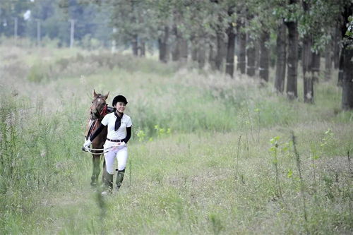 惊艳!碍事梨体模雪地绝美写真曝光,速来围观! 惊艳!碍事梨体模雪地绝美写真曝光,速来围观!