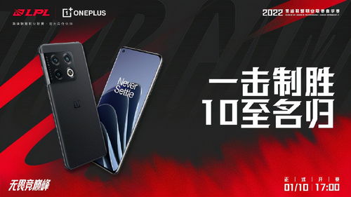 埃及老哥晒PS4 Pro开发套件,网友误认成PS6,这波操作引关注! 埃及老哥晒PS4 Pro开发套件,网友误认成PS6,这波操作引关注!