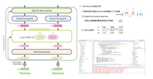 起凡土豆类型深度拆解，从新手到高手的完整进阶路径