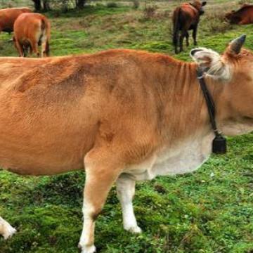 版本考古，为什么0.15.0是PE版的工业时代