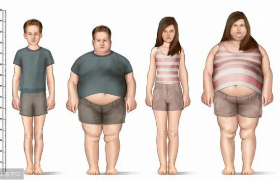 为什么你的PM5女儿总变胖？2026年身材类型机制深度拆解