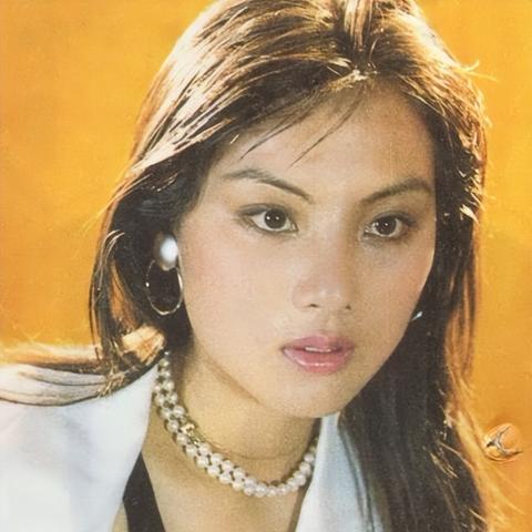 灯灯零命能玩吗？4.8版本新角色机制拆解与平民抽取培养决策指南