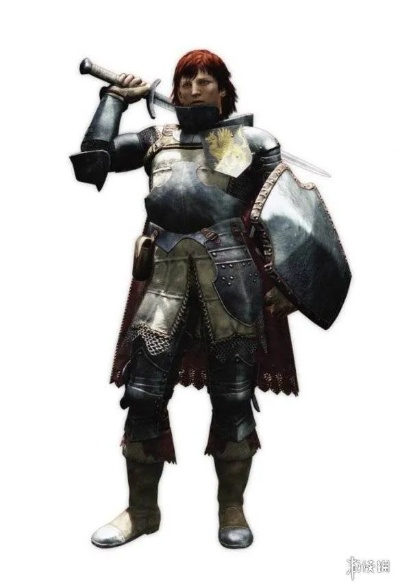 龙之信条类型彻底解析，2026年新手避坑指南与职业Build核心策略