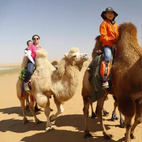 红色沙漠重磅更新，操作逻辑优化升级，营地仓库全新登场