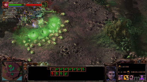 星际争霸2虫群之心破解版风险大?2026年正版免费方案与战役低价获取全攻略 星际争霸2虫群之心破解版风险大?2026年正版免费方案与战役低价获取全攻略