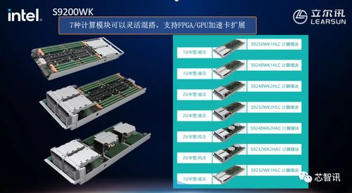 Sun2类型服务器怎么选？2026年最新深度解析与实战配置指南