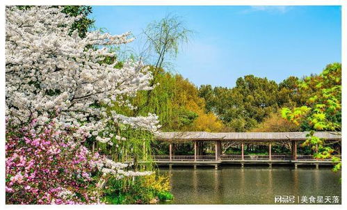 研究类型本质，不是任务，而是动态世界观系统