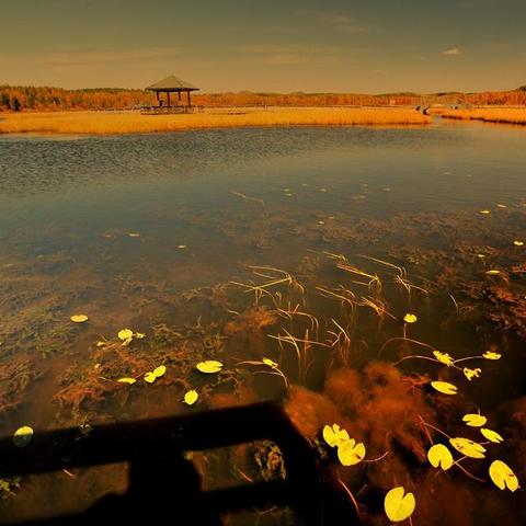 外媒：《红色沙漠》为什么令人上瘾？百万玩家无法自拔