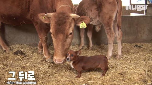 2026年Q1肉鸽生存建造游戏井喷?这5款黑马实测300小时不重复 2026年Q1肉鸽生存建造游戏井喷?这5款黑马实测300小时不重复