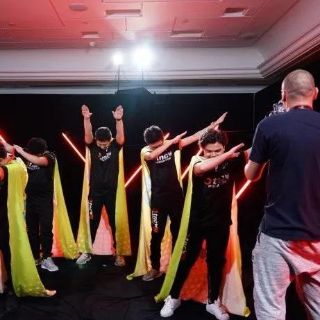 树精卫士为什么胜率暴跌？2026年Q1深度解析与逆袭打法