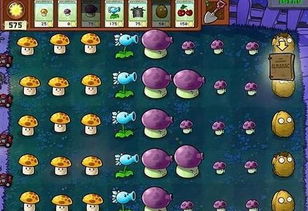 植物大战僵尸刷钱终极指南,2026年无尽模式+禅境花园双核爆金打法揭秘 植物大战僵尸刷钱终极指南,2026年无尽模式+禅境花园双核爆金打法揭秘