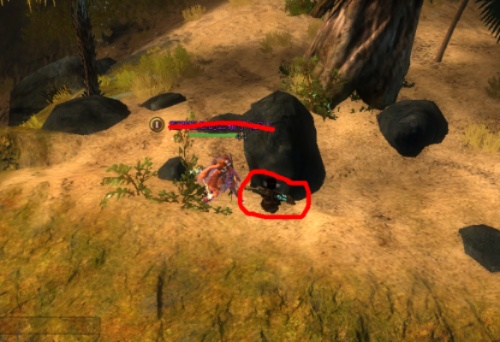 狮子拱门观景点怎么拿全？2026终极攻略，从新手到速通高手