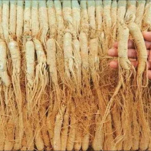 荒野行动体验服3月限量招募开启,内部资格获取全攻略 荒野行动体验服3月限量招募开启,内部资格获取全攻略