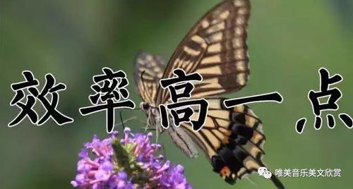 横板动作肉鸽《SlashZero》将于3月27日首测