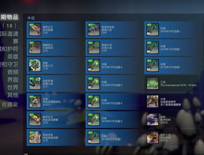 2026年最新9U稀有私服类型全解析，高玩都在找的5种隐藏服务器