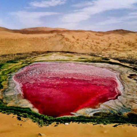 红色沙漠股价暴跌后暴涨27%！玩家需求成最大反转关键