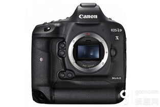 国产新旗舰堪比单反，毛发细节清晰可见