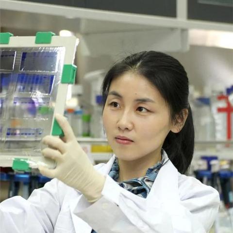 AC米兰铁杆拥趸张雪峰魂归远方 俱乐部发文悼念