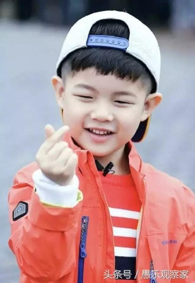 2026独家解码，沙溢胡可儿子安吉小鱼儿的性格类型与明星育儿实战密码