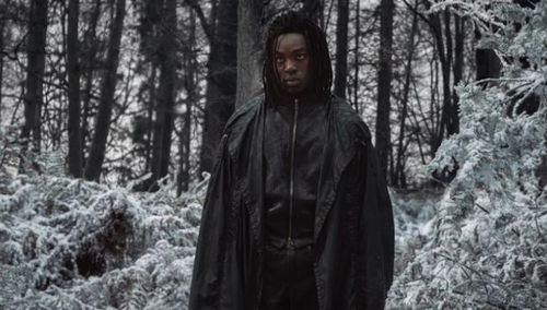 哈利波特剧集预告争议，黑人斯内普角色引大量批评