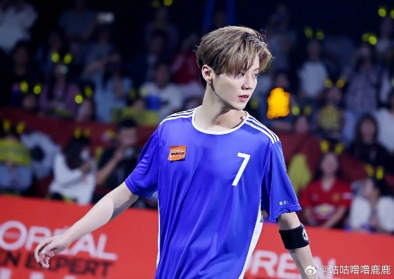 范志毅亲测认证，鹿晗内娱足球技术天花板，2026最新技术拆解报告