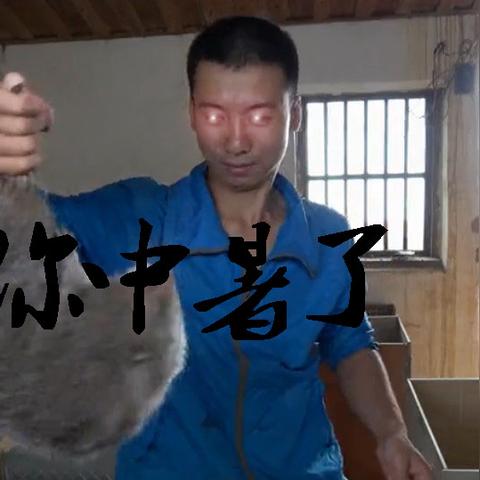 武林游戏功法克制链全解析，PVP胜率提升80%的隐藏机制