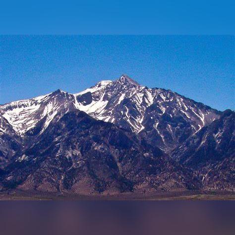 失踪22年遗体被找到？从DNA鉴定到心理重建的完整应对指南