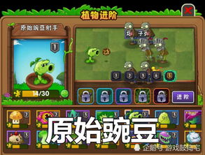 植物大战僵尸无尽模式800轮+通关秘籍，2026年最新生存阵型与资源循环体系