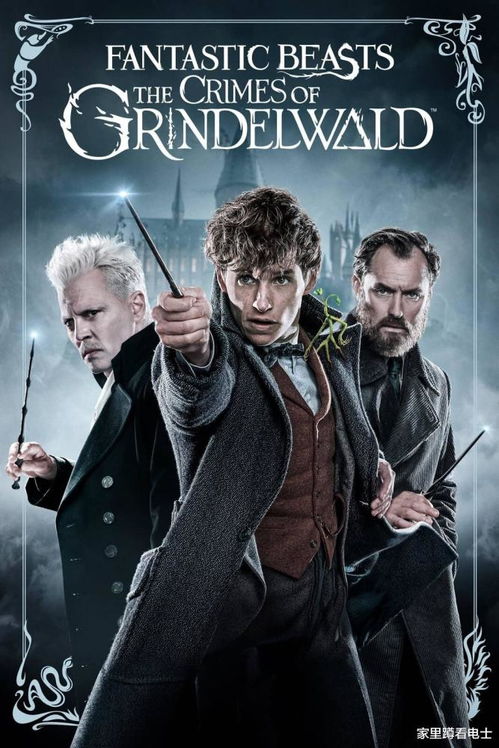 德普新片是烂片还是神作？2026暗影之海类型深度剖析与观影决策全指南