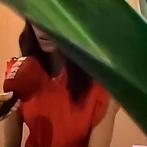 3A韩国新作《洛奇英雄传：反抗命运》官宣两位新角色