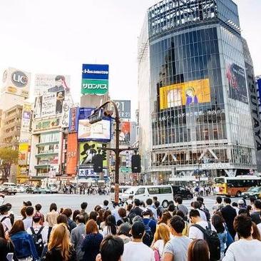 428，涩谷导演新作众筹破5400万，平台拦截半数引热议