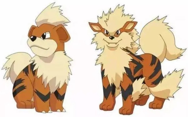 卡蒂狗培养全攻略，2026年朱紫版本实战配招与进化时机深度解析