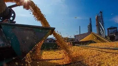 庄园领主粮食危机终极解决方案,2026年最新版三田轮作与贸易暴利模型 庄园领主粮食危机终极解决方案,2026年最新版三田轮作与贸易暴利模型