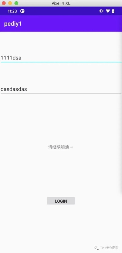 1. 启动Frida注入